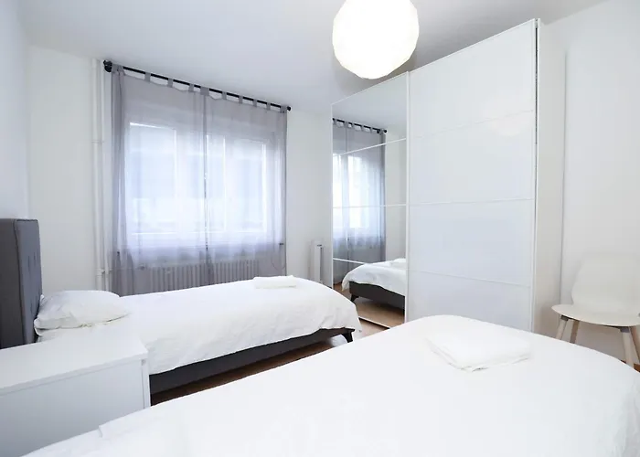 Airy Near Uetliberg Nature