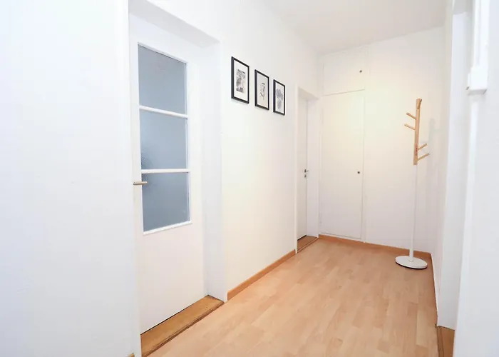 Airy Near Uetliberg Nature *