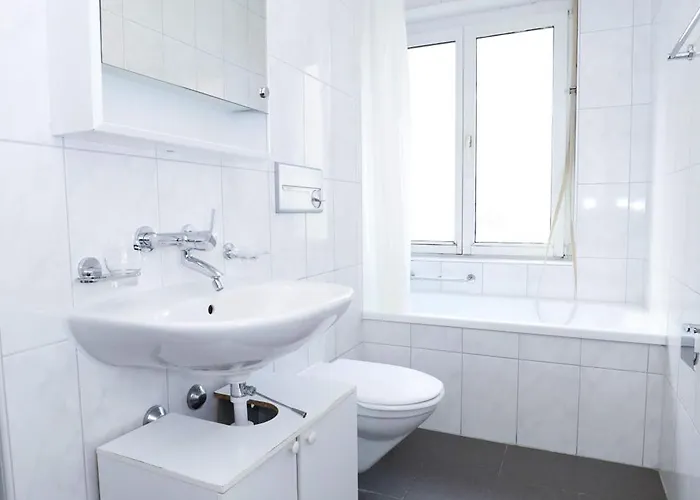 Airy Near Uetliberg Nature