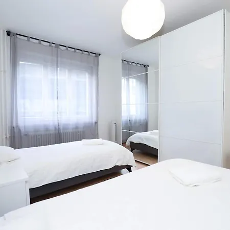 Airy Near Uetliberg Nature