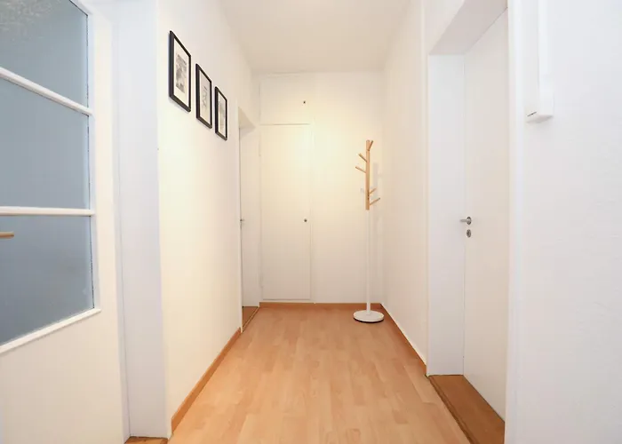 Airy Near Uetliberg Nature *