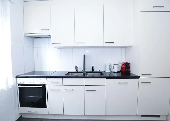 Airy Near Uetliberg Nature