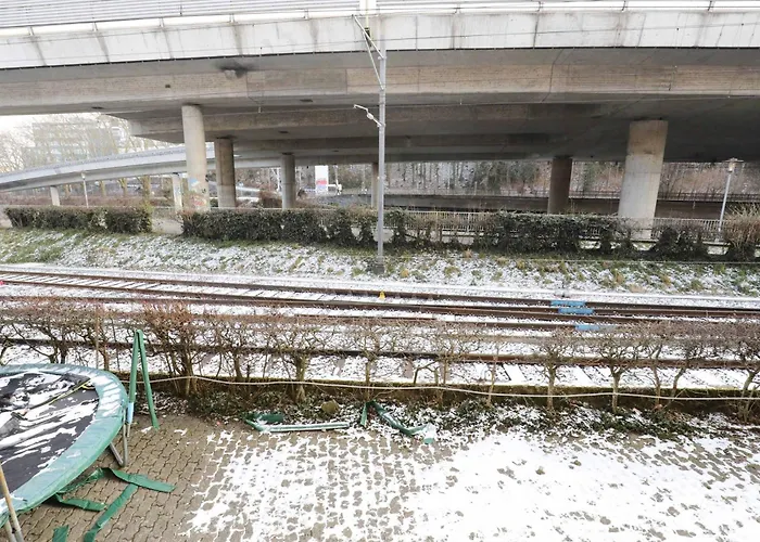 Airy Near Uetliberg Nature Zurich